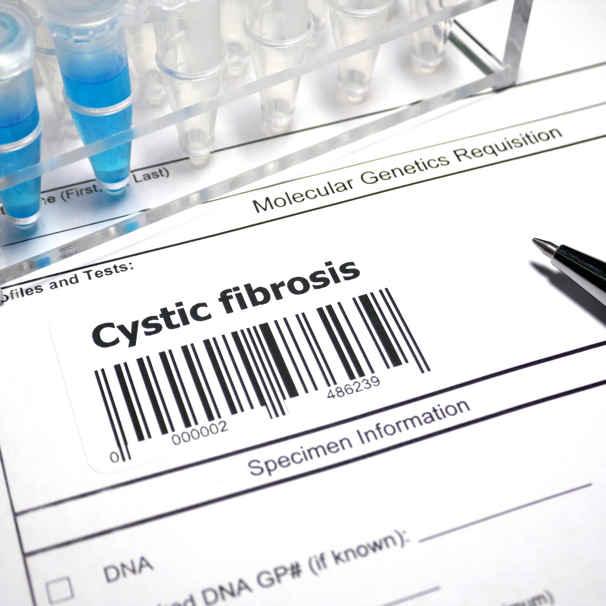 Dietary essential amino acids are highly anabolic in pediatric patient