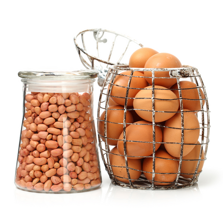 Metabolic Evaluation of the Dietary Guidelines’ Ounce Equivalents of Protein Food Sources in Young Adults: A Randomized Controlled Trial