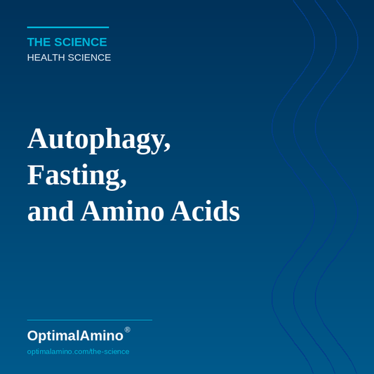 Autophagy, Fasting, and Amino Acids — What the Research Actually Shows