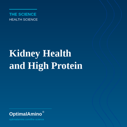 Kidney Health and High Protein — Separating Myth from Evidence