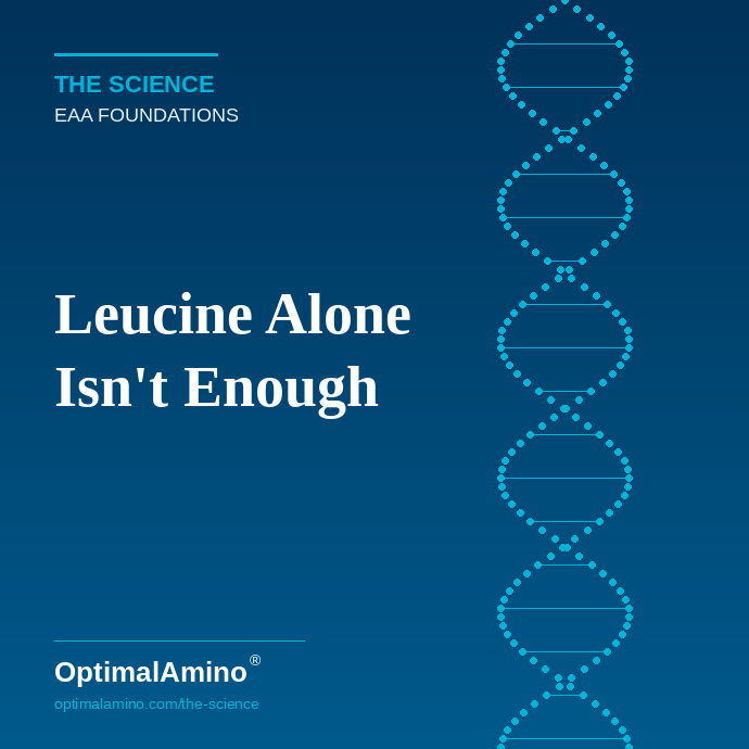Leucine Alone Isn't Enough — The Single-Amino-Acid Trap