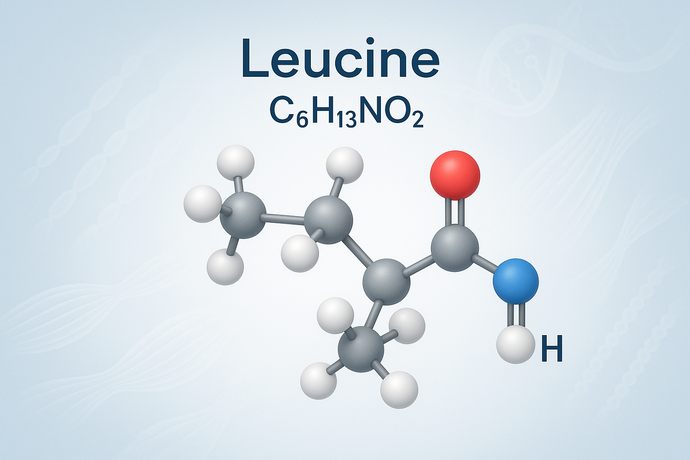 Do older adults require more leucine to stimulate muscle protein synthesis?