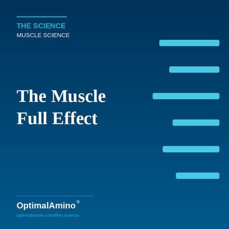 The Muscle Full Effect — Why More Protein Per Meal Isn't Always Better