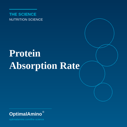 Protein Absorption Rate — Does It Actually Matter?